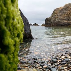 Rocks in sea against sky