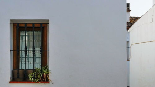 Low angle view of potted plants on wall of building