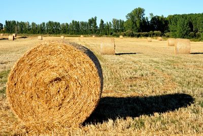 Straw bales