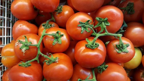 Close-up of tomatoes for sale at market stall