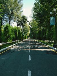 Empty road along trees and plants in city