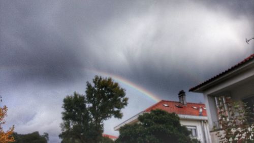 Trees and houses against storm clouds