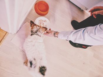 Cropped image of man feeding dog at home