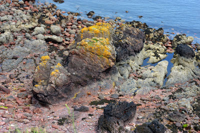 High angle view of rocks on sea shore