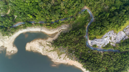 High angle view of road amidst trees