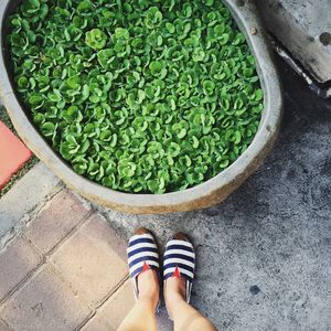 Low section of woman standing on tiled floor