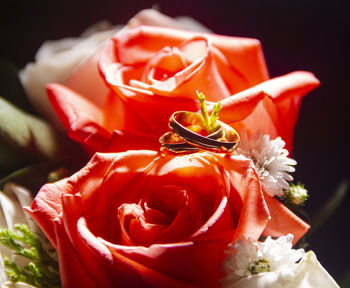 Close-up of rose bouquet