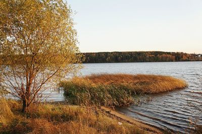 Scenic view of lake against clear sky