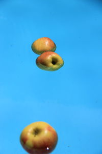 Close-up of fruits against blue sky