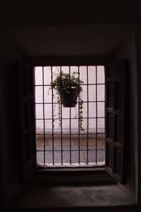 Window of building