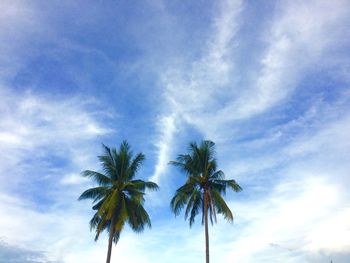 Low angle view of palm trees against blue sky