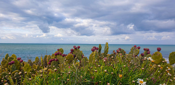 Scenic view of sea against cloudy sky