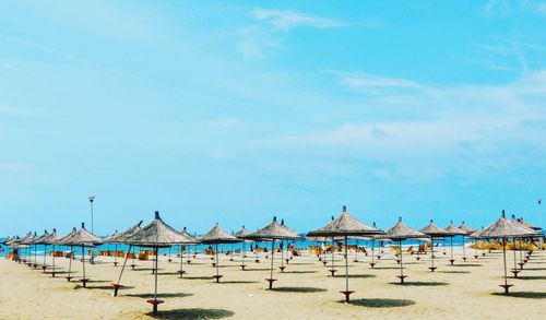 Parasols on beach against blue sky