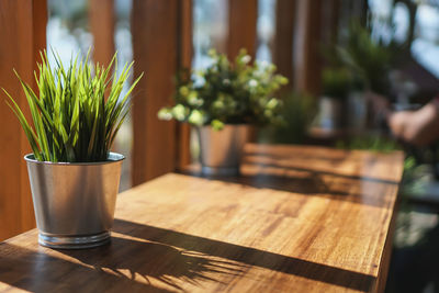 Close-up of potted plant on table