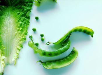 Directly above shot of green peas on table