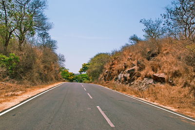 Empty road along trees