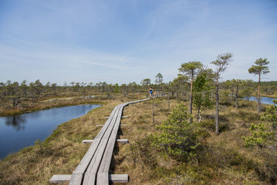 Panoramic view of footpath amidst trees against sky