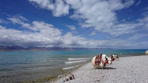 People on beach against sky