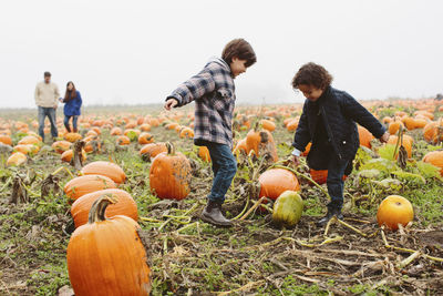 Brothers playing with pumpkin while parents walking at farm during winter