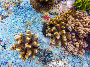 Close-up of sea