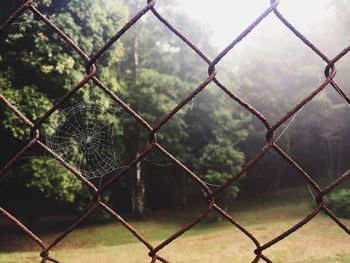 Close-up of chainlink fence against sky