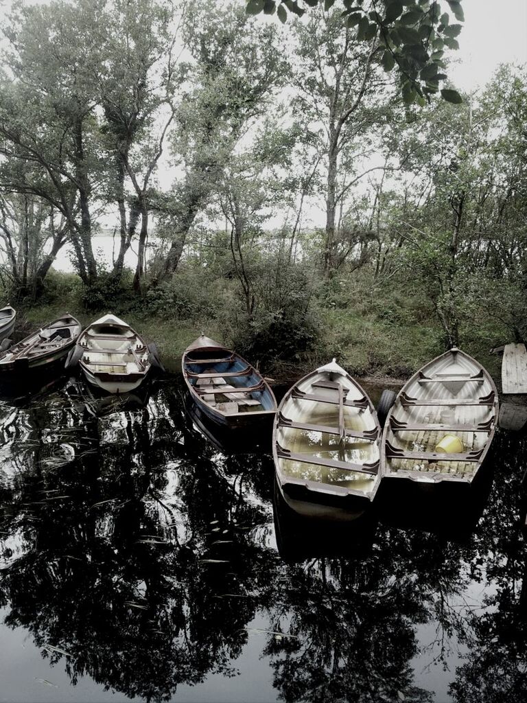 tree, water, nautical vessel, boat, transportation, moored, mode of transport, reflection, tranquility, waterfront, lake, tranquil scene, nature, branch, beauty in nature, river, scenics, growth, day, forest