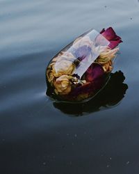 High angle view of leaf floating on water