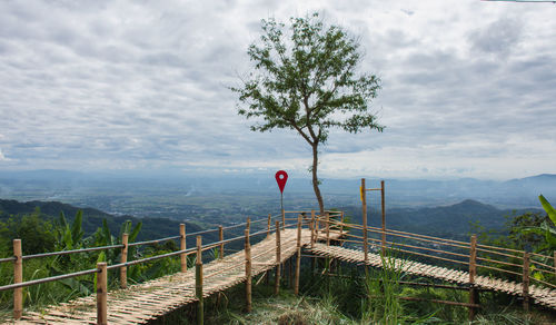 Scenic view of tree by mountain against sky