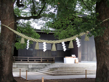 Clothes hanging on tree trunk