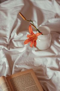 High angle view of flowers and a book