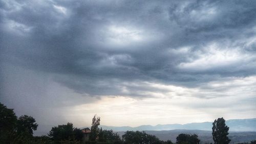 Low angle view of trees against cloudy sky