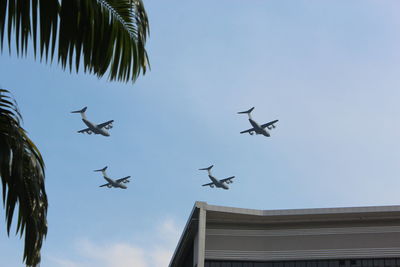 Low angle view of birds flying in sky