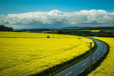 High angle view of empty road amidst oilseed rape field against sky