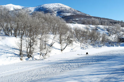 Snow covered landscape against sky