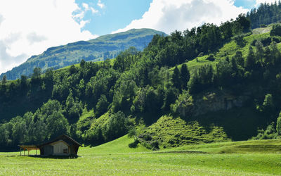 Scenic view of green landscape against sky
