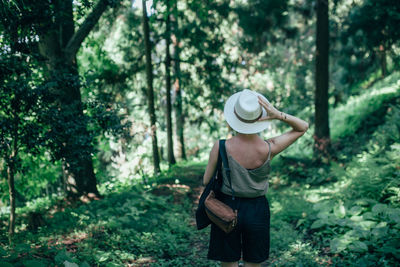 Rear view of man standing by trees in forest