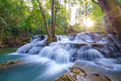 Low angle view of waterfall in forest