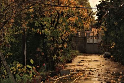 Beautiful nature scenery with building in background