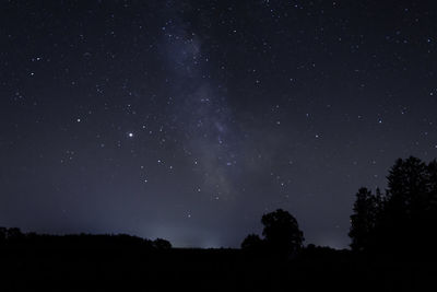 Low angle view of silhouette trees against star field at night