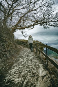 Rear view of woman walking by plants during winter