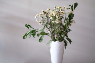 Close-up of white flower vase on table