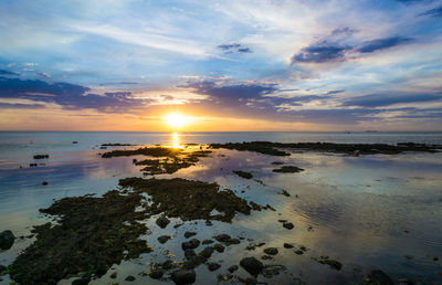 Scenic view of sea at sunset