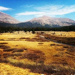 Scenic view of landscape against sky