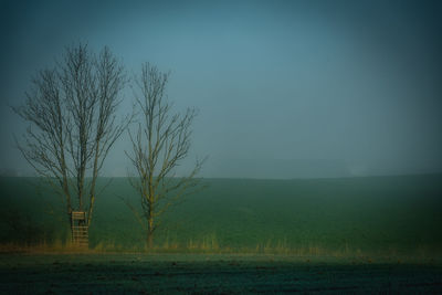 Tree on field against sky