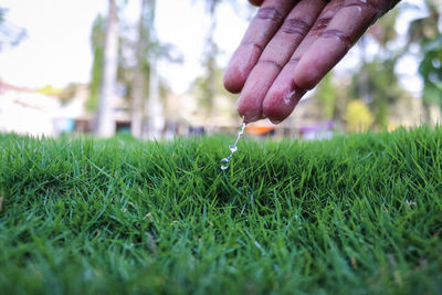 Person hand on grass field
