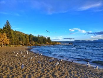 Scenic view of beach against sky