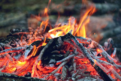 Close-up of bonfire