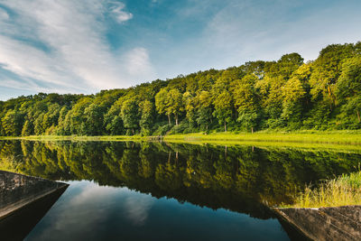 Scenic view of lake by trees against sky