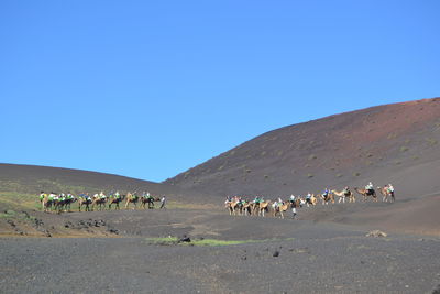 Group of people on arid landscape against clear sky