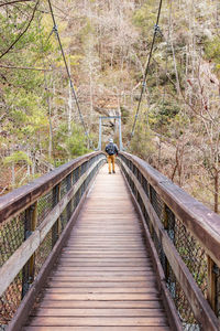 Rear view of person on footbridge in forest